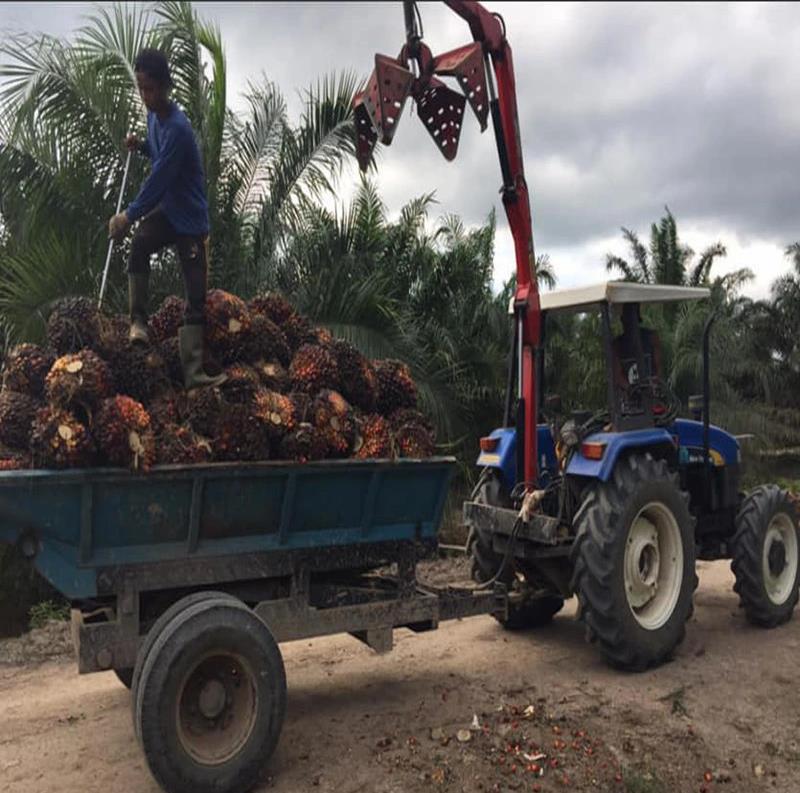 wood grabber wood grabber